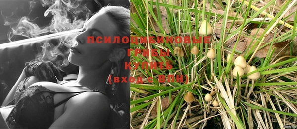 дурь Ростов