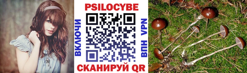 Галлюциногенные грибы Magic Shrooms  Советск 