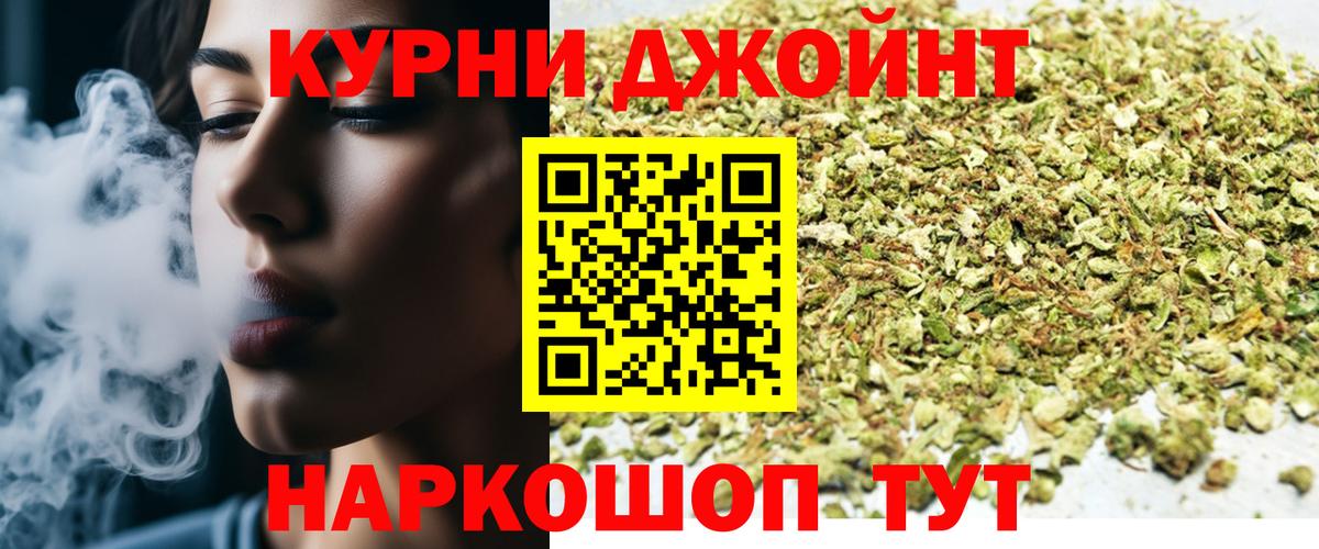 МАРИХУАНА сатива  Вход с VPN  Марихуана SATIVA & INDICA  Советск  Конопля SATIVA & INDICA  Бошки Шишки SATIVA & INDICA 